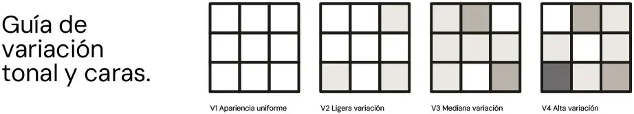 Guía de variación tonal y caras: V1 apariencia uniforme, V2 ligera variación, V3 mediana variación y V4 alta variación